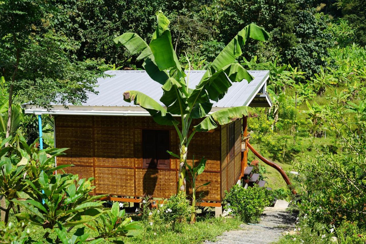 True Nature Chiang Mai - Yoga & Meditation Homestay Retreat Ngoại thất bức ảnh