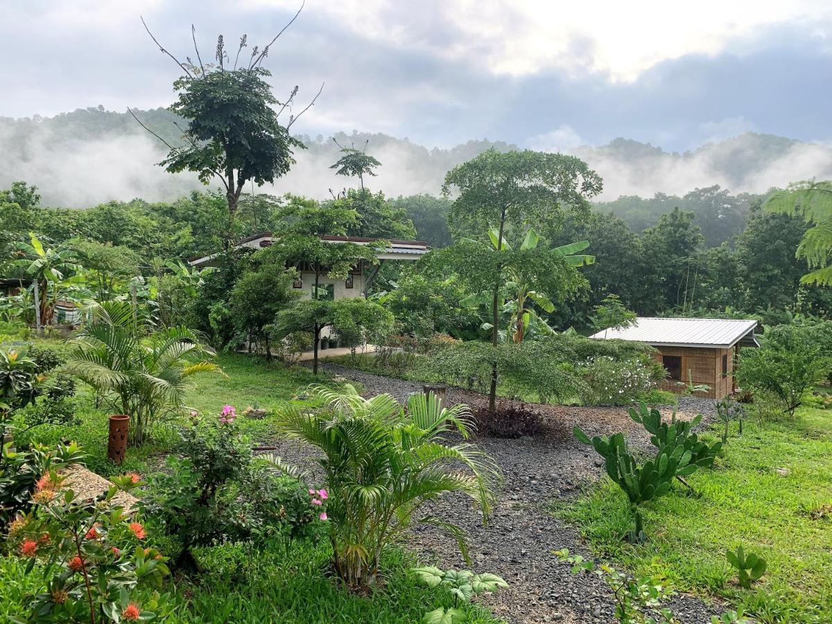 True Nature Chiang Mai - Yoga & Meditation Homestay Retreat Ngoại thất bức ảnh