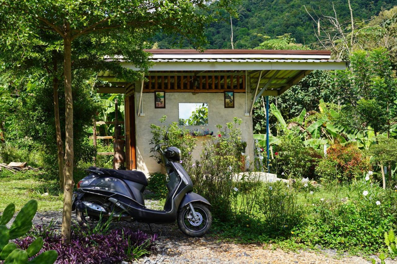 True Nature Chiang Mai - Yoga & Meditation Homestay Retreat Ngoại thất bức ảnh