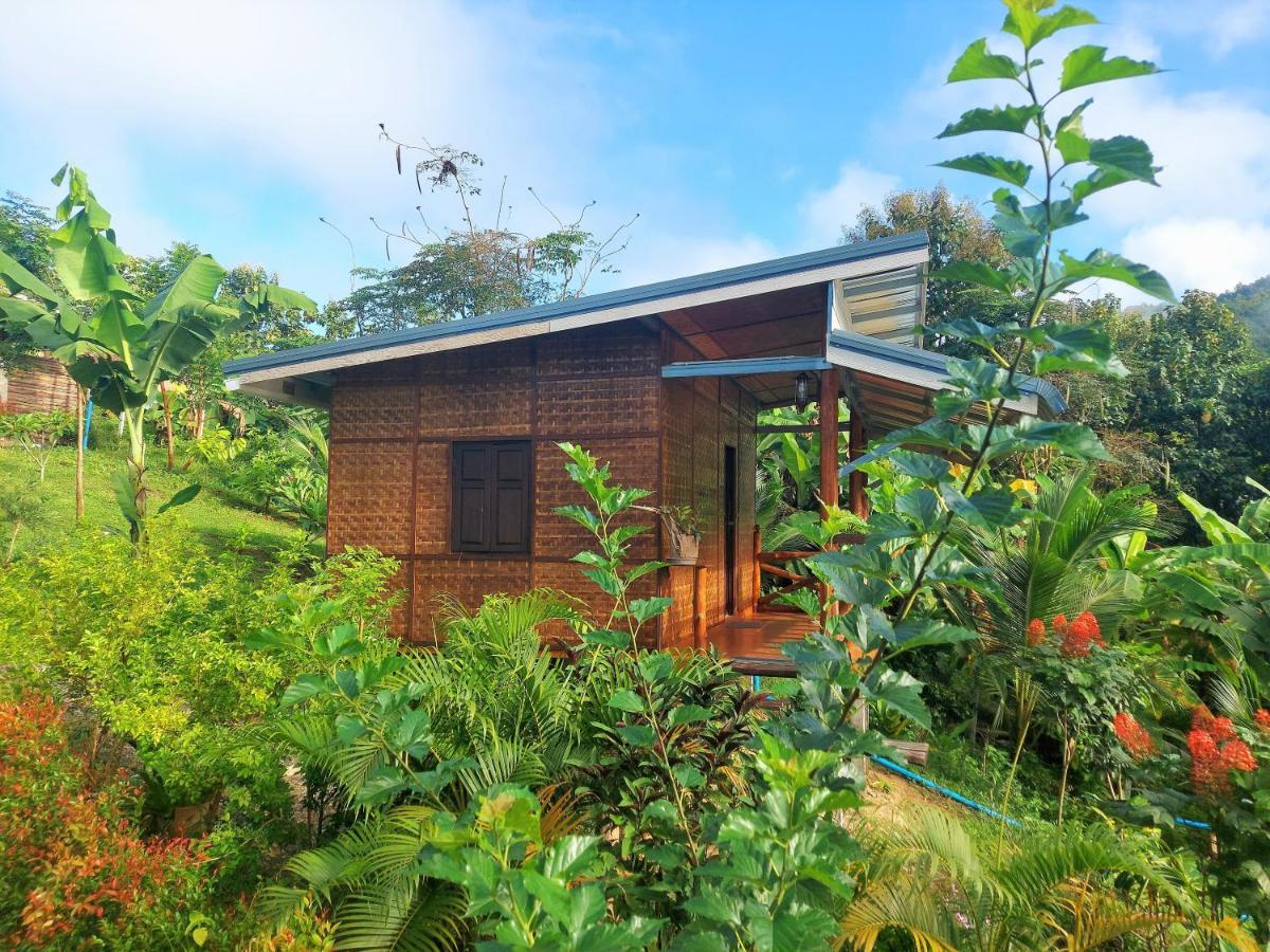 True Nature Chiang Mai - Yoga & Meditation Homestay Retreat Ngoại thất bức ảnh