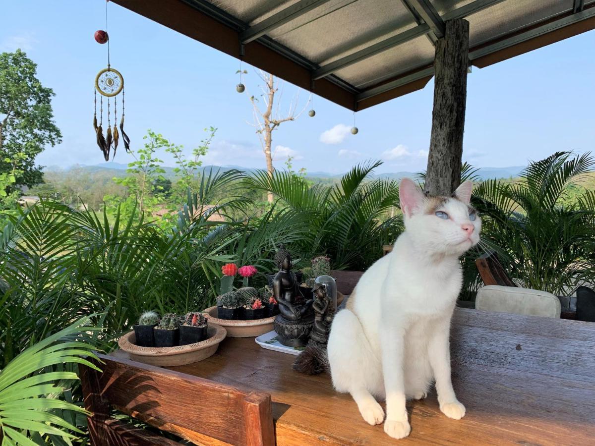 True Nature Chiang Mai - Yoga & Meditation Homestay Retreat Ngoại thất bức ảnh