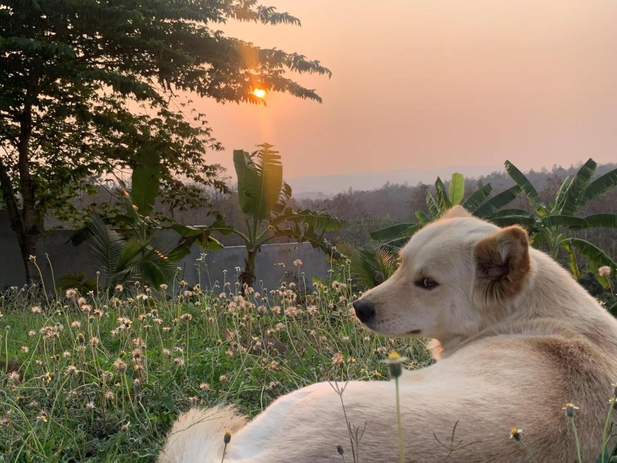 True Nature Chiang Mai - Yoga & Meditation Homestay Retreat Ngoại thất bức ảnh