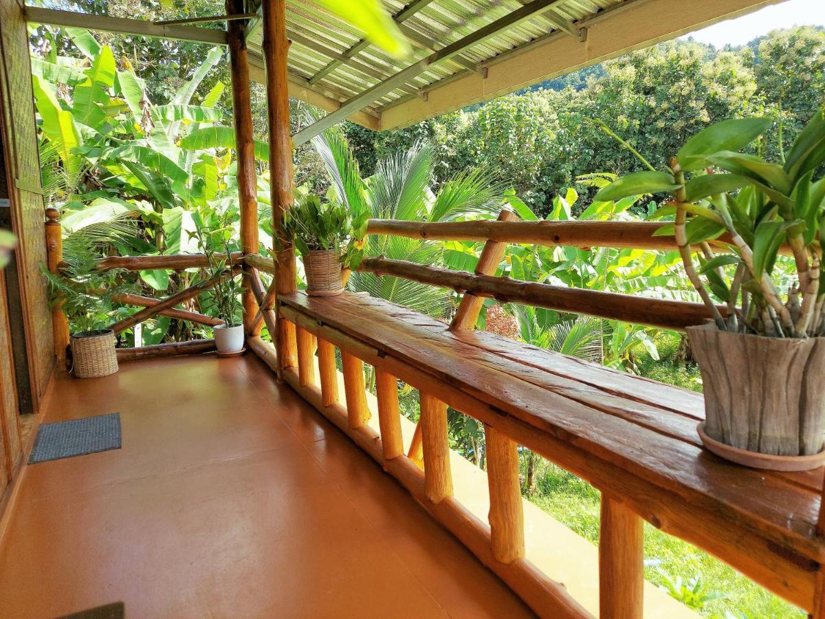 True Nature Chiang Mai - Yoga & Meditation Homestay Retreat Ngoại thất bức ảnh