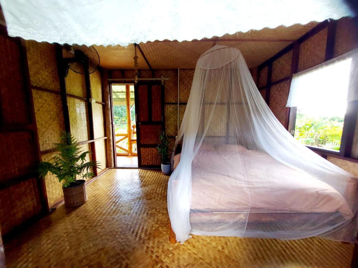 True Nature Chiang Mai - Yoga & Meditation Homestay Retreat Ngoại thất bức ảnh